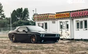 Dodge