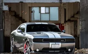 Dodge